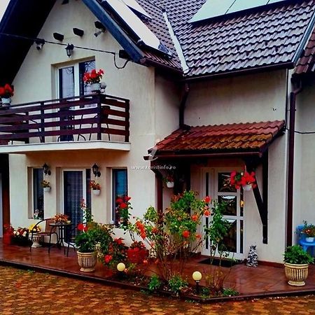 Edelweiss Ilinca Daire Zărneşti Dış mekan fotoğraf