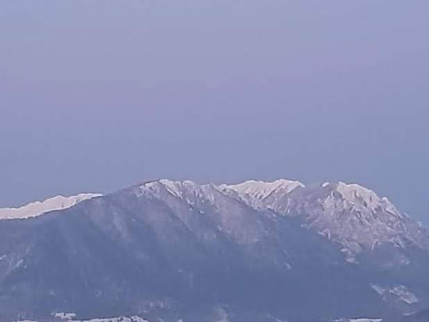 Edelweiss Ilinca Daire Zărneşti Dış mekan fotoğraf