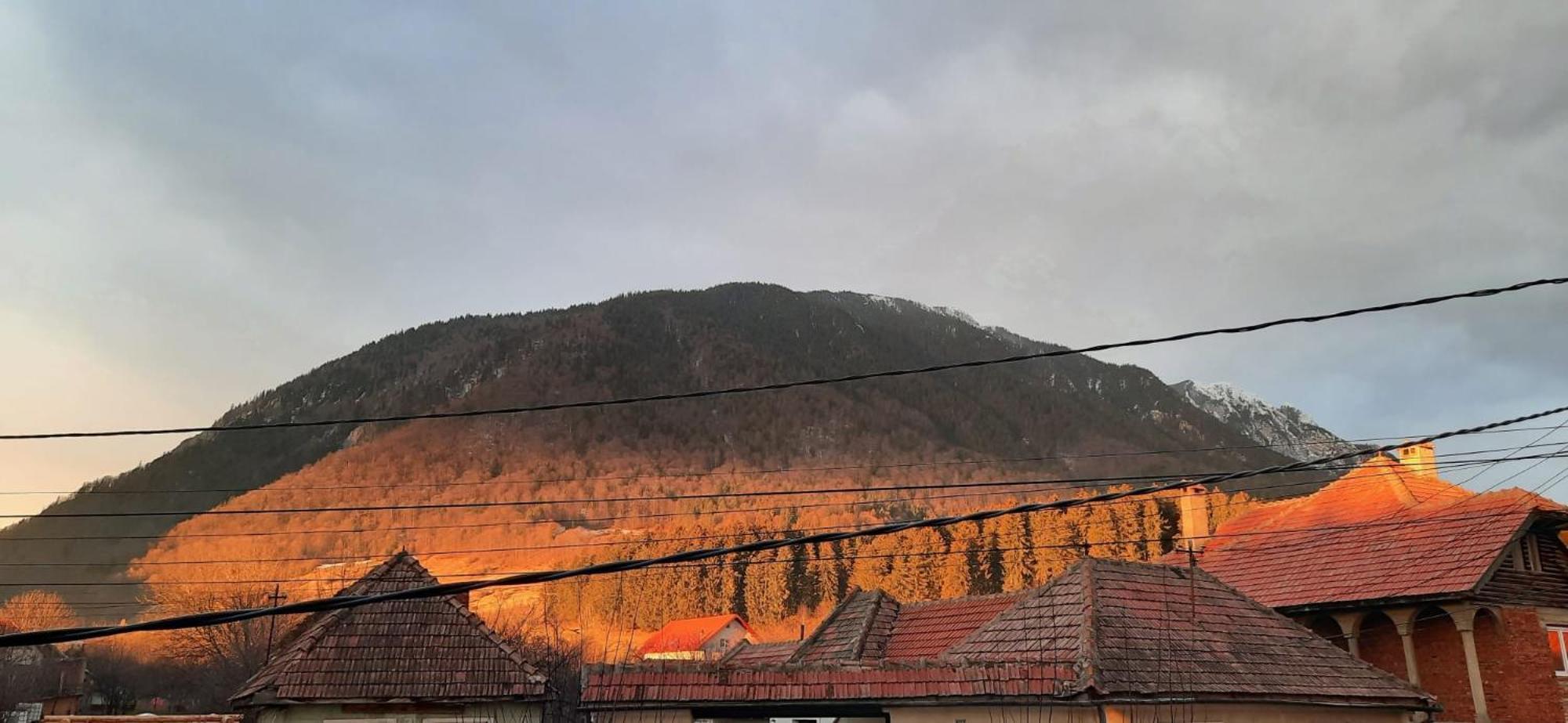 Edelweiss Ilinca Daire Zărneşti Dış mekan fotoğraf
