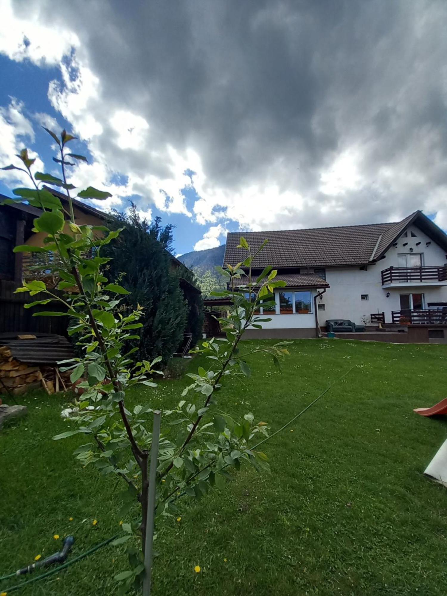 Edelweiss Ilinca Daire Zărneşti Dış mekan fotoğraf
