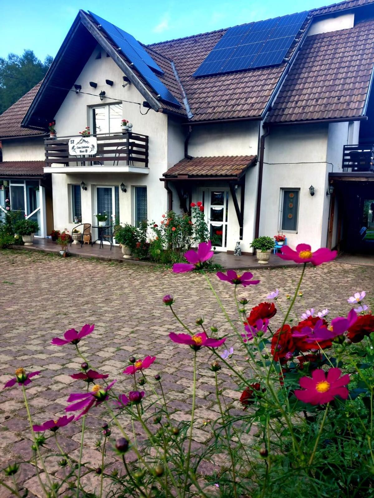 Edelweiss Ilinca Daire Zărneşti Dış mekan fotoğraf